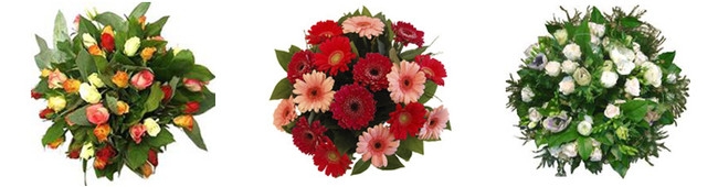 Veilingverse bloemen bezorgt door heel Nederland